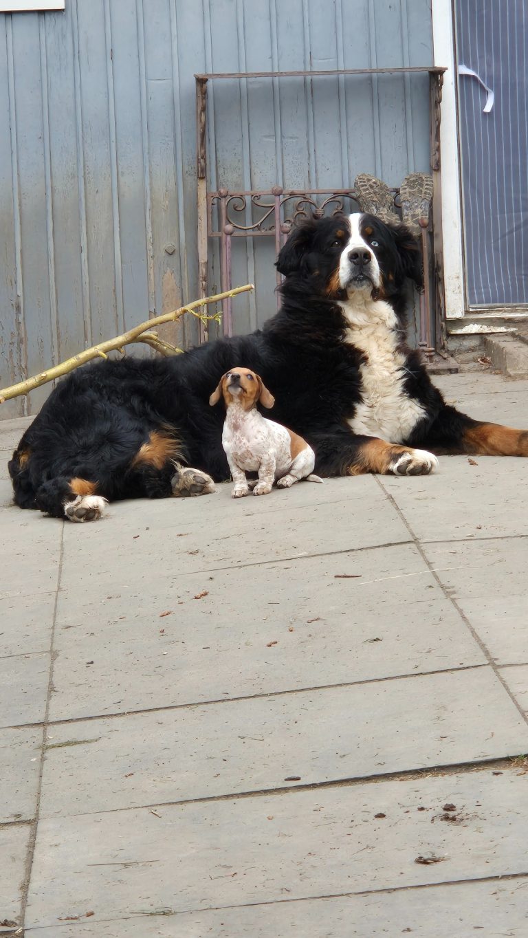 Lux en Zoë